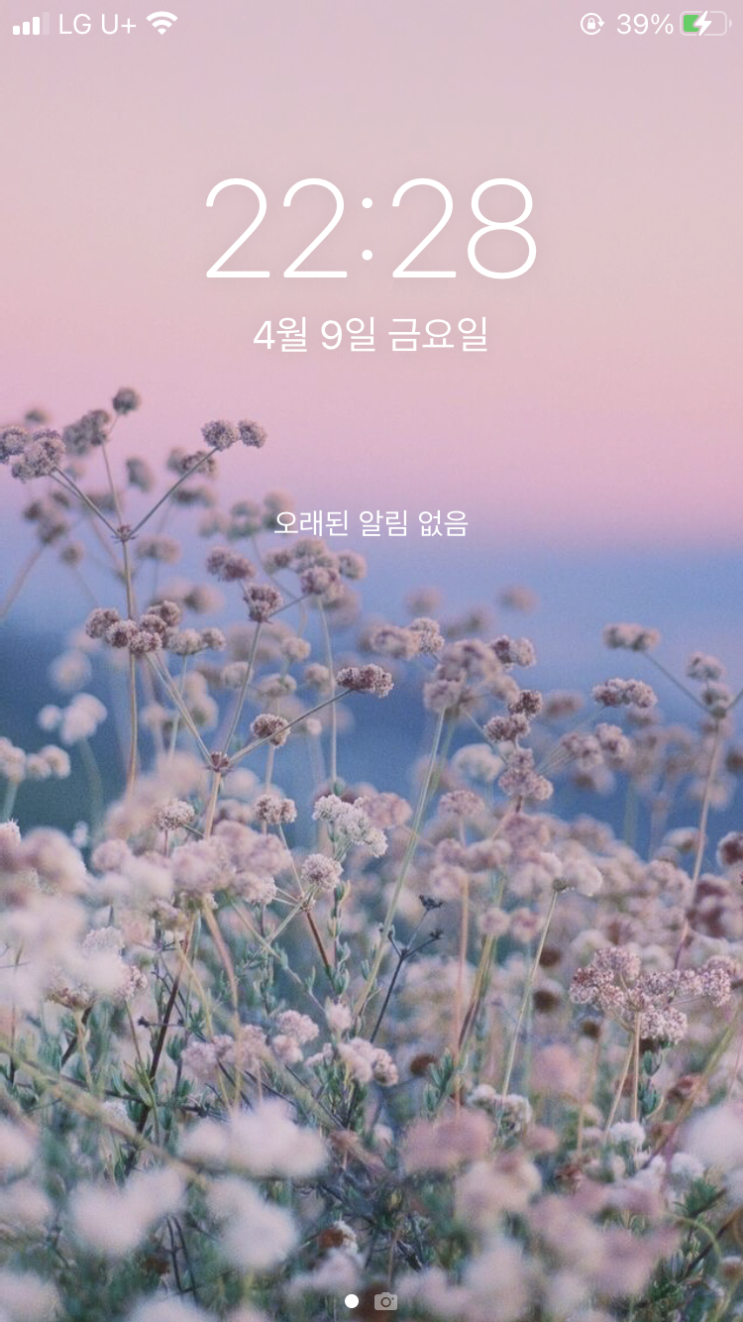  봄맞이 가벼운 폰꾸 + 카톡 프사 모음 대공개 두둥  (프로필 뮤직 포함)