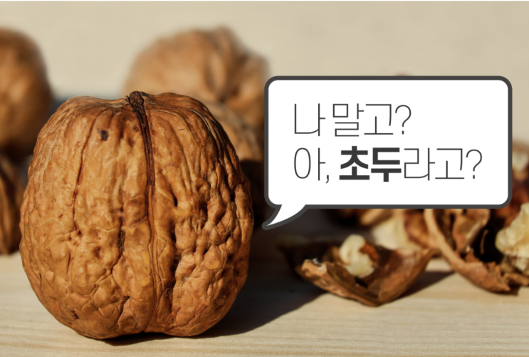  [어떤 효과] 초두 효과 