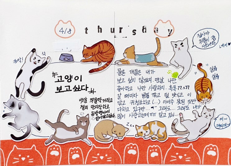  나를 잊은 고양이에게