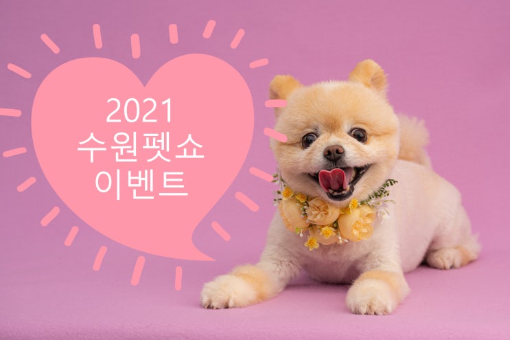 [수원펫쇼]2021년 수원펫쇼 이벤트2  +펫쇼백,선착순이벤트