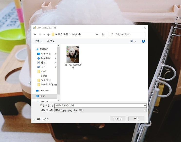 jpeg jpg 변환 png bmp이미지 파일 포토샵NO! jpeg jpg 변환 png bmp이미지 파일 포토샵NO!