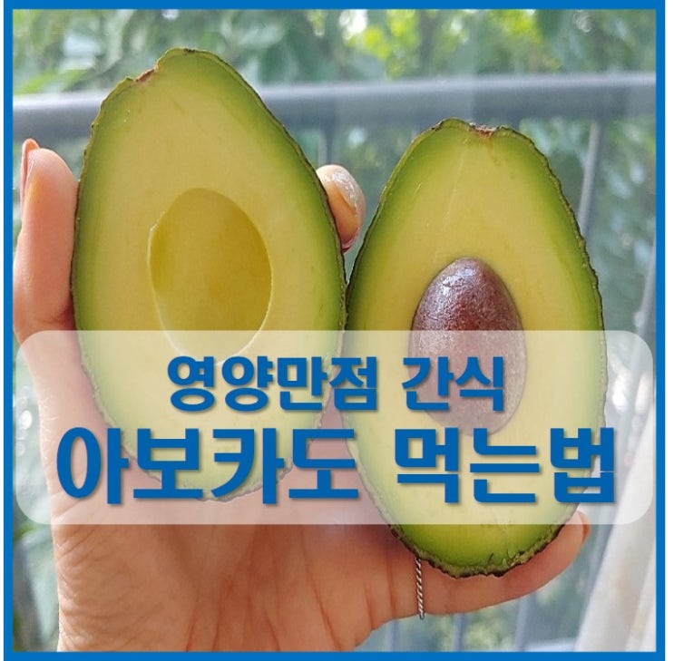  아보카도 후숙 후 맛있게 먹는법
