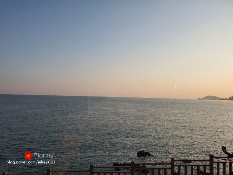 부산가볼만한곳 해변열차 해운대블루라인파크 가격 가성비굿 부산가볼만한곳 해변열차 해운대블루라인파크 가격 가성비굿