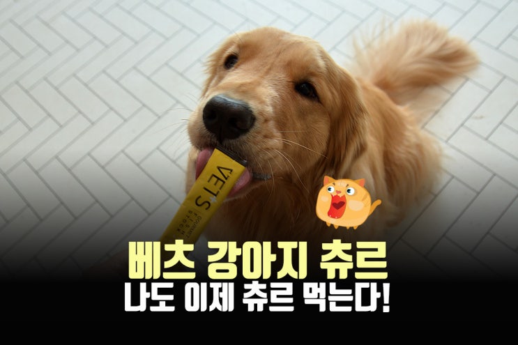  강아지슬개골탈구예방 및 강아지영양제로 베츠츄르 추천!