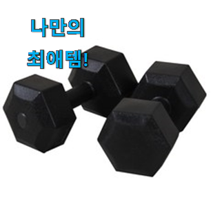  저는 적극 추천해요. 너무 갖고싶은 이고진 덤벨 5kg 갓템 이라구요. 써보세요.
