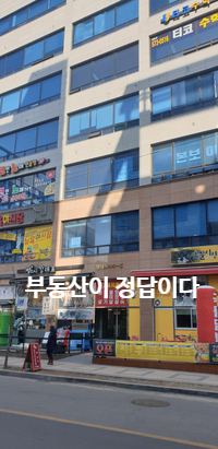  아파트, 주택 6.1이전 주택 팔아야하나? 언제 매매하해야 하나?