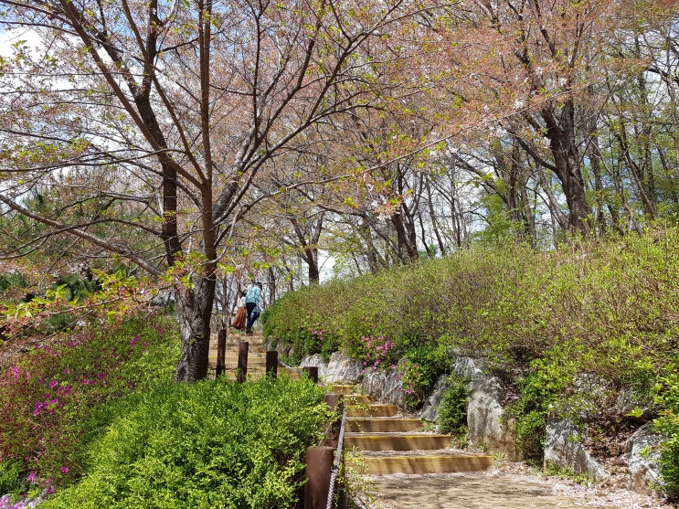 오마카세 스시스이렌 먹은 것 기록하기 초밥 생선 이름 일본어 제철 정리