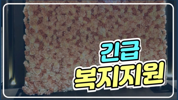 저소득 아니어도 긴급 지원 / 코로나 / 팁공유