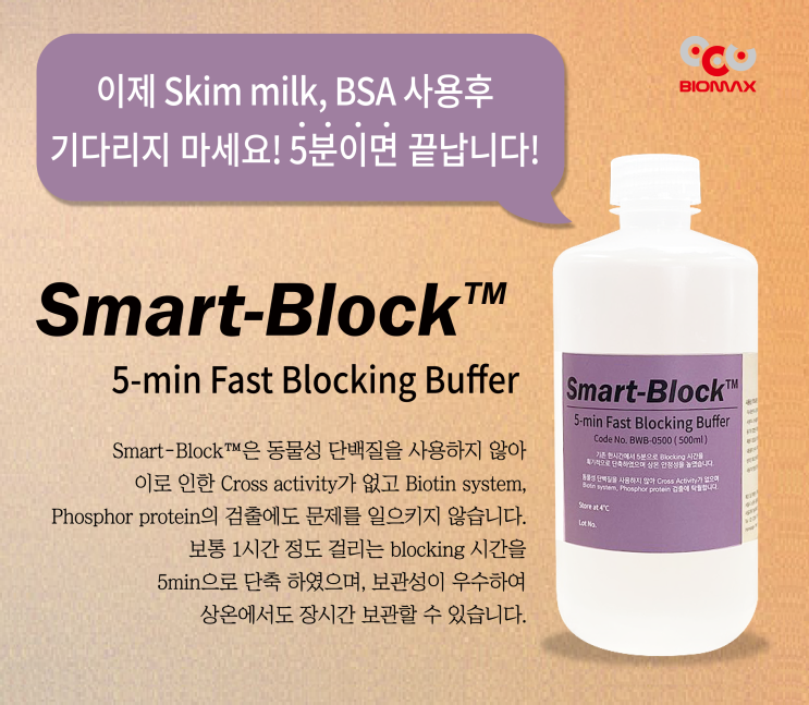  Smart-Buffer 5 min Fast Blocking Buffer