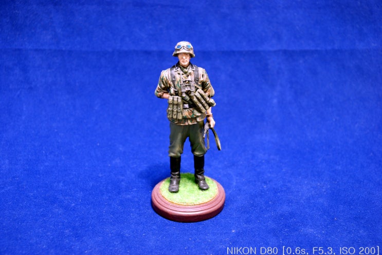 German SS Infantryman(독일군 친위대 보병)-아카데미