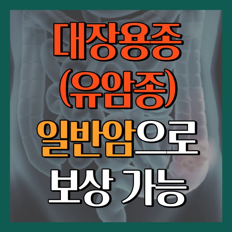대장 용종(유암종) D37.5 - 일반암 보상 꿀팁!!