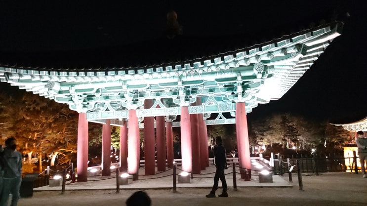  경주 비건 여행 2박3일[2일 : 불국사 - 석굴암 - 쑥부쟁이 - 첨성대 - 경주자동차박물관 - 향적원 - 동궁과 월지(야경)]