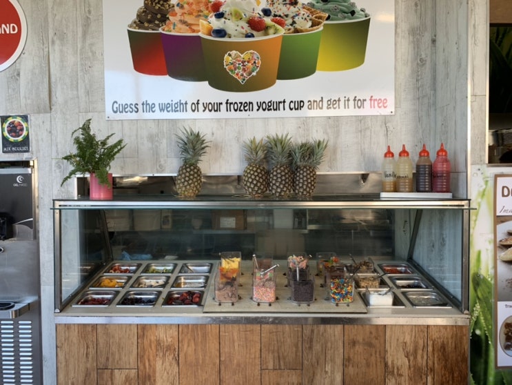  [호주 브리즈번 워홀일기] 여행 기록 1 - 내가 가장 좋아했던 디저트 맛집 ▷ Frozen Yoghurt & Juice Bar ◁