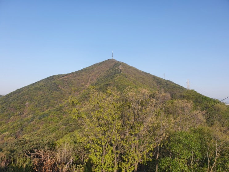  인천 계양산 등산하며 봄 만끽하기
