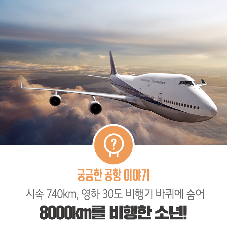 영하 30도 비행기 바퀴에 숨어 8,000km를 비행한 <b>소년</b>이 있다?
