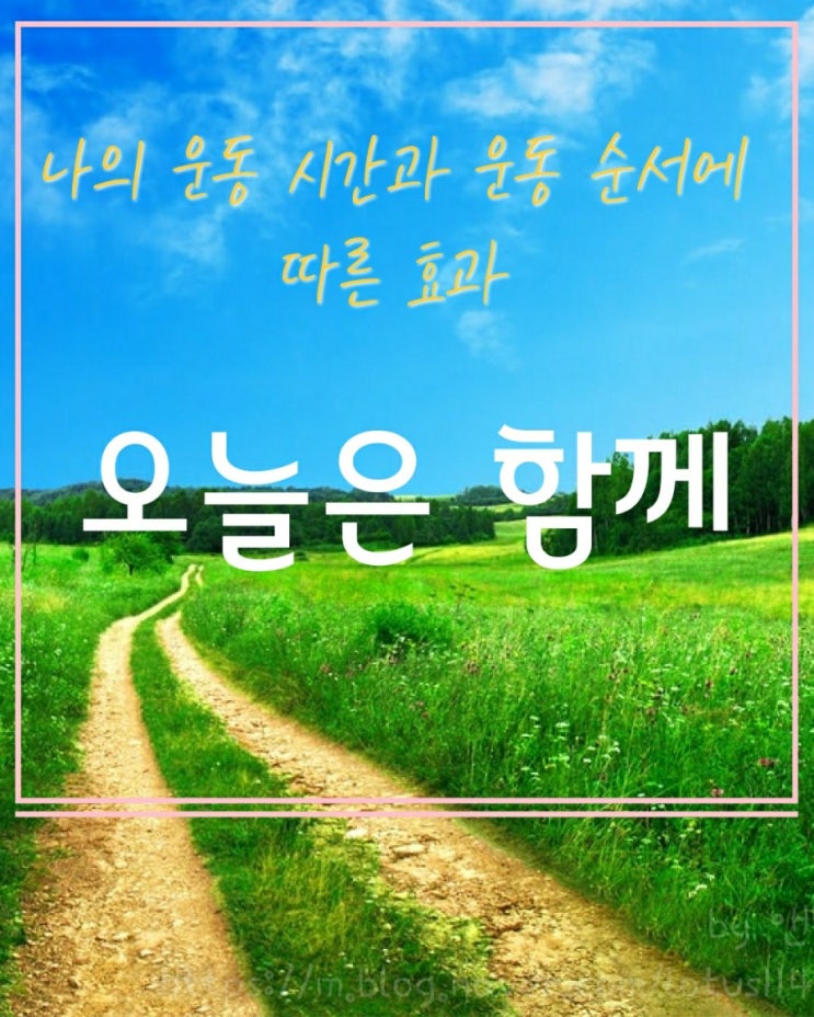  나의 운동 순서와 방법 그리고 운동효과