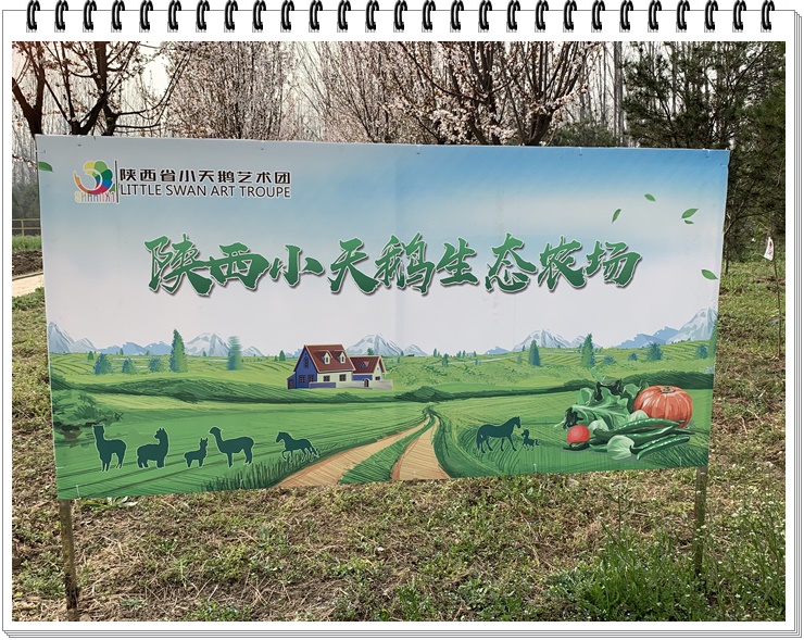  중국 서안에 있는 삼현 농장 다녀왔어요.