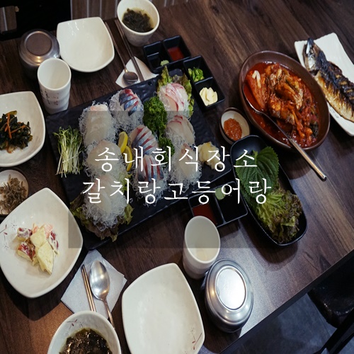  송내역 맛집 송내회식장소 송내모임장소 메뉴 구성 좋은 갈치랑고등어랑