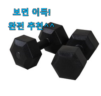  나만없어! 이고진 덤벨 5kg 굉장한 물건 소소한 행복 ㅎㅎ..