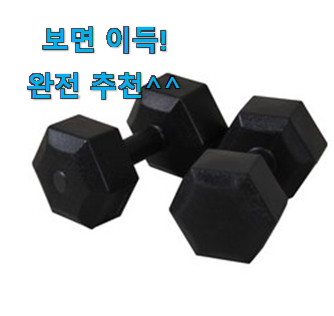 나만없어! 이고진 덤벨 5kg 굉장한 물건 소소한 행복 ㅎㅎ..