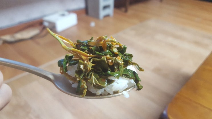  찔레순 효능과 부작용