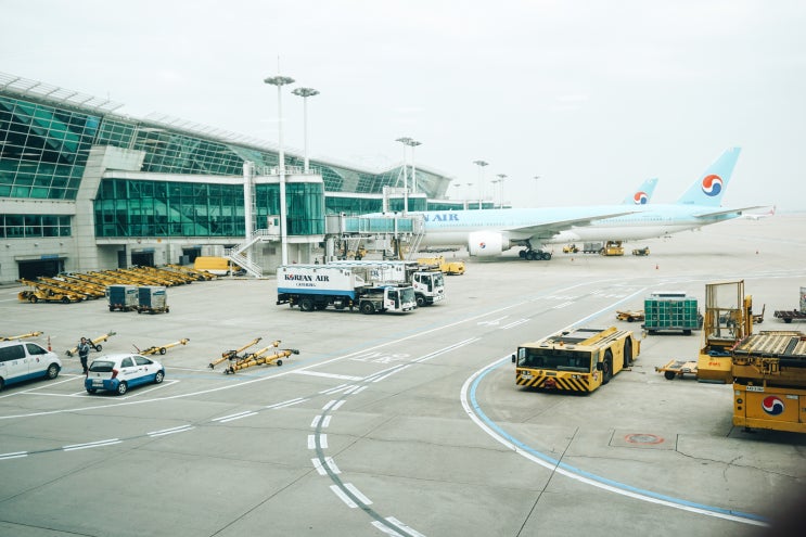 국내항공사 매출, 여객 운송 순위(2020년)