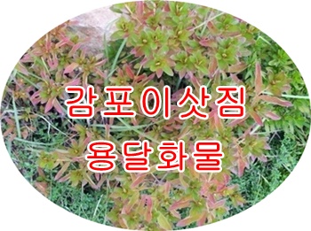 감포용달 양북 불국사 운송. 감포용달 양북 불국사 운송.