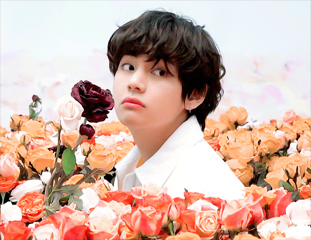 1617414741973.gif?type=w800