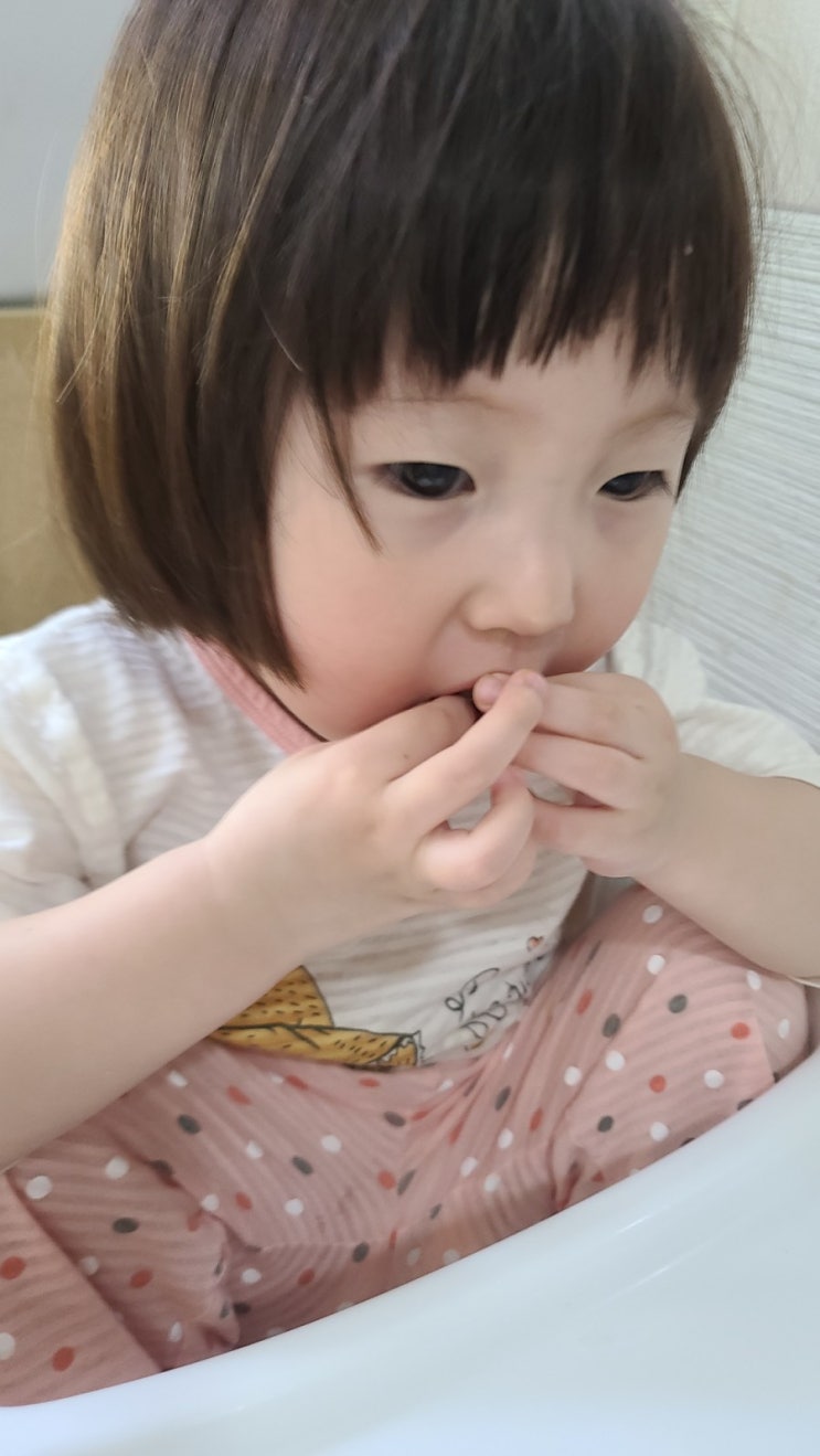  22개월 아기 일상 696일