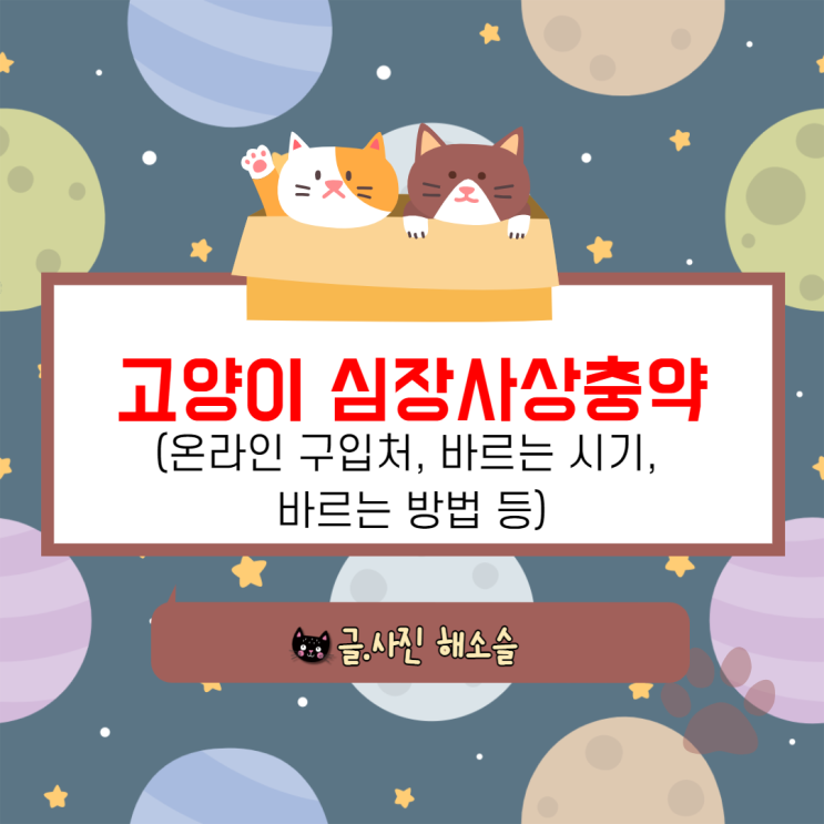 고양이 심장사상충약 바르기(온라인 구입처, 바르는 시기, 방법 등) 고양이 심장사상충약 바르기(온라인 구입처, 바르는 시기, 방법 등)