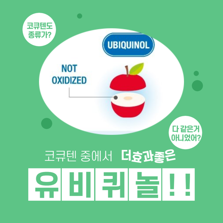  유비퀴놀 코엔자임큐텐 코큐텐의 활성형