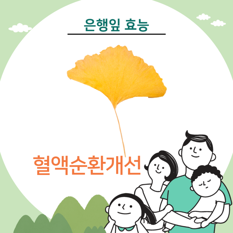  은행잎 효능 파헤치기