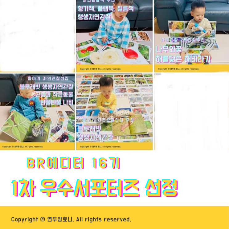블루래빗 BR에디터 16기 : 1차 우수서포터즈 선정 / 1~4주차 미션 블루래빗 BR에디터 16기 : 1차 우수서포터즈 선정 / 1~4주차 미션