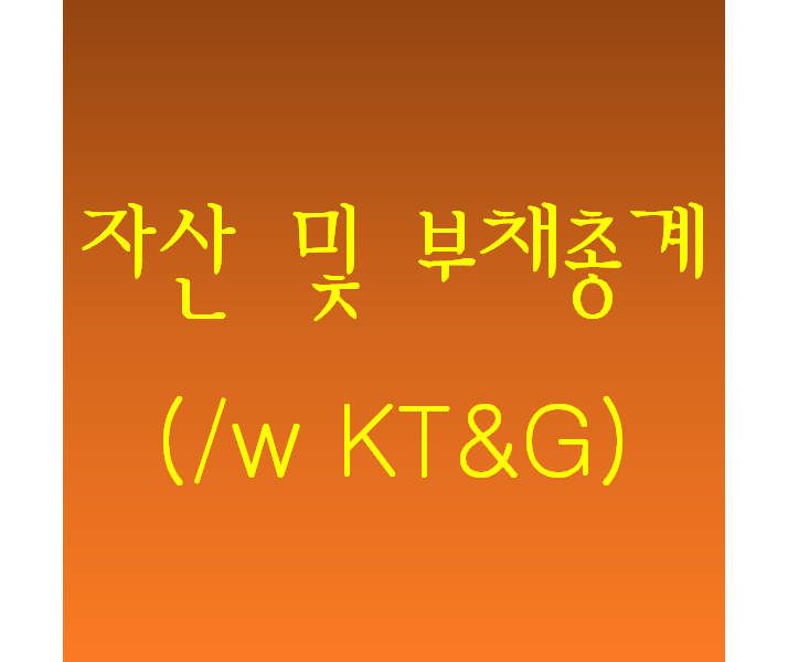  재무제표) 자산 및 부채 총계 확인하기(/w KT&G)