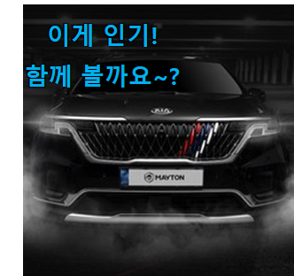 없어서 못판다는 그 물건이네요 자랑스런 4세대 카니발 자동차 용품 픽미 함께 봅시다 친구들도 인정하네요
