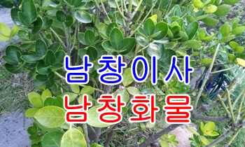 남창용달 덕하에서 진하갑니다.