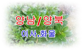 양남용달 양북용달차.