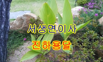 진하용달 월내 장안 운송. 진하용달 월내 장안 운송.
