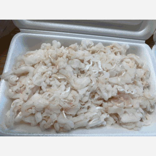 노량진수산시장맛집, 노량진데이트 : 수산시장 와서 지나칠수없는 회맛집(해운대 아나고) 노량진수산시장맛집, 노량진데이트 : 수산시장 와서 지나칠수없는 회맛집(해운대 아나고)