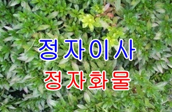 정자용달 양남 양북 출발합니다.