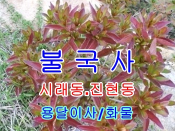 불국사용달 부담없어요.