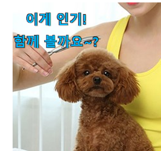  유튜브에서도 난리난 그 상품! 너무착한 강아지 가위 아이템 이구요. 조만간 지름신 강림할듯 ㅋㅋ