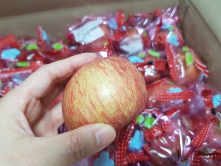  자연향, 경북 껍질째 먹는 미니 세척사과 5kg.세척사과