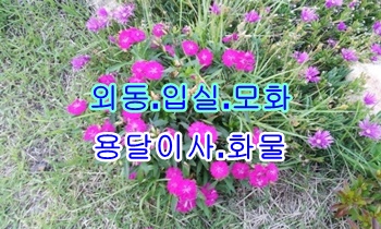 외동용달 모화 녹동 석계.