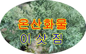 온산용달 진하 월내 운송.