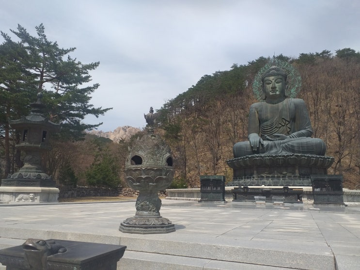 설악산의 아름다운 사찰.  신흥사(神興寺) 여행기