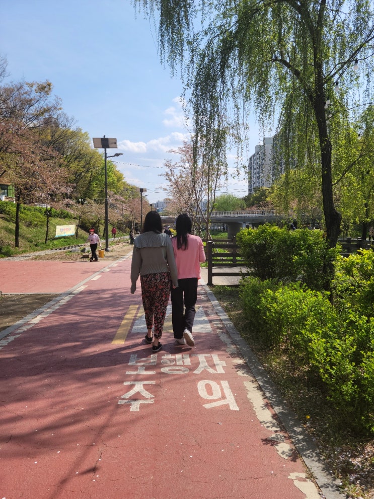  청둥오리, 잉어가 있어요~ 송파 둘레길 성내천길 가족 나들이 산책 힐링코스