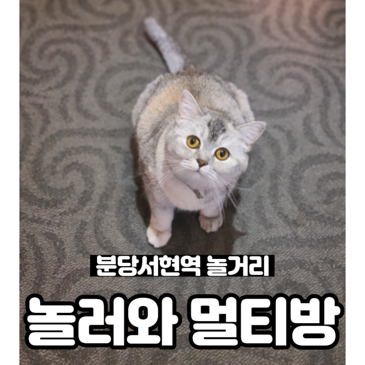 분당서현역 안전한 놀거리 서현놀러와멀티방 분당서현역 안전한 놀거리 서현놀러와멀티방