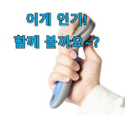  요즘 제일 잘팔리는 매력뿜는 강아지빗말티즈 모두의 선택 함께 보시죠. 추천입니다