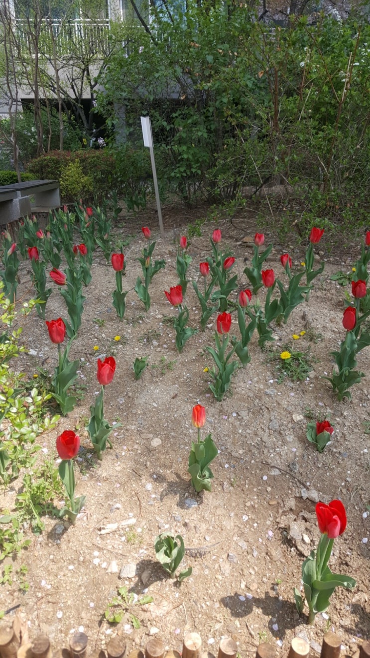  포일자이 주변 사진  4/10